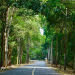 Bình châu phước bửu